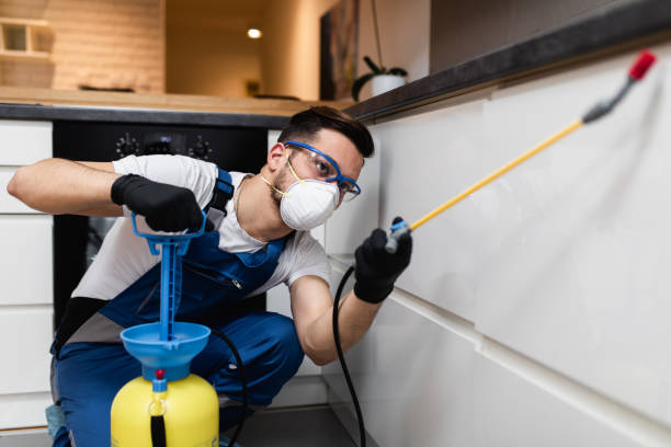 Best Residential Pest Control  in Tumter, WA