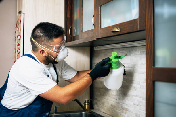 Best Wildlife Control Services  in Tumter, WA