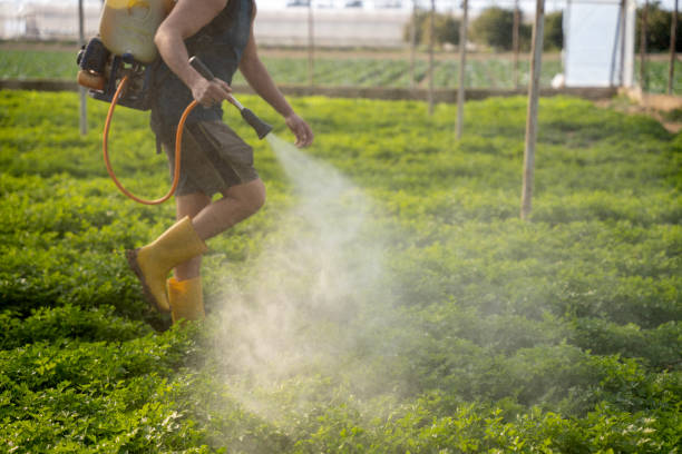 Best Pest Removal Services  in Tumter, WA